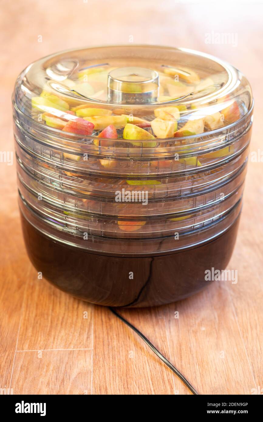 sèche-linge électrique avec tranches de fruits pour le séchage. les pommes mûres sont chauffées en morceaux dans des plateaux. Préparatifs d'automne. Banque D'Images