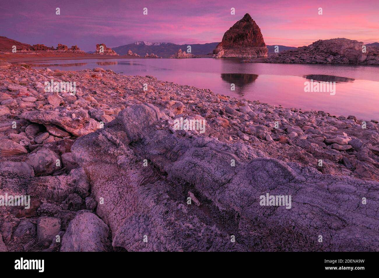 Etats-Unis, Nevada, Grand bassin, Comté de Washoe, Réserve indienne de Pyramid Lake, Lac Pyramid, Banque D'Images