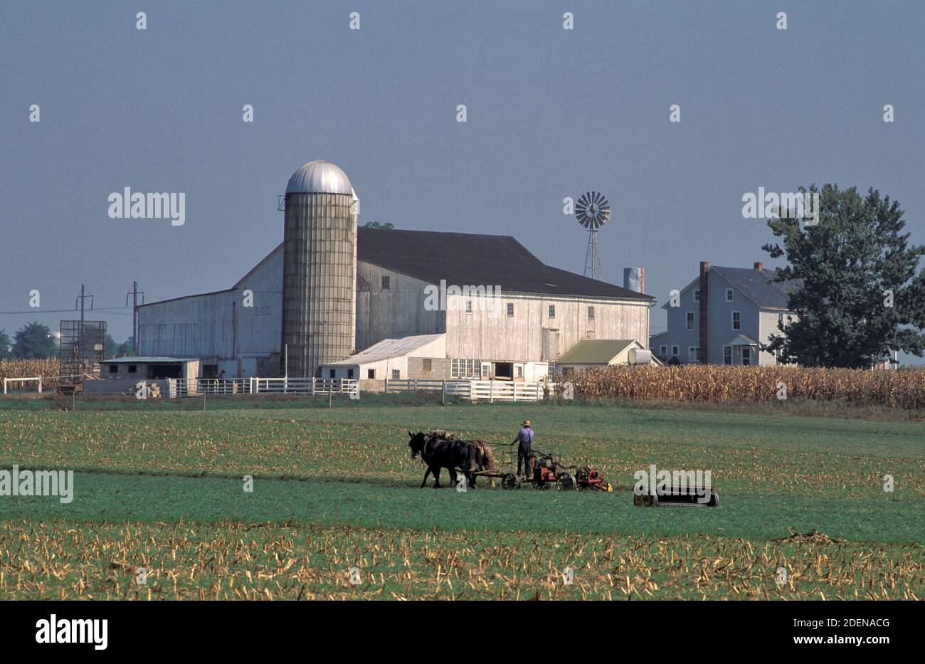 États-Unis, côte est, Pennsylvanie, Paradise, Amish Farm, pays hollandais Banque D'Images