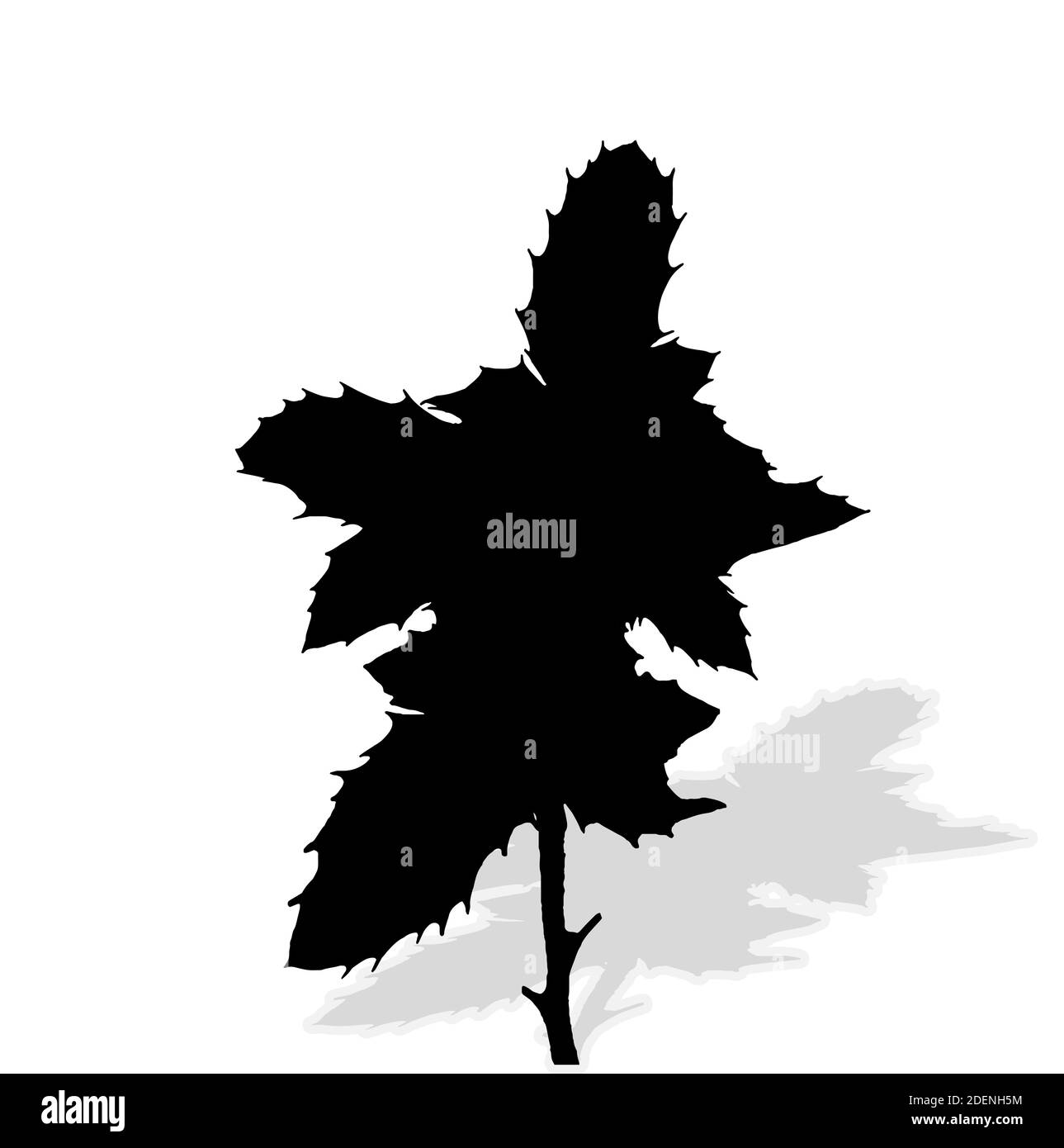Silhouette de plantes. Illustration. Banque D'Images