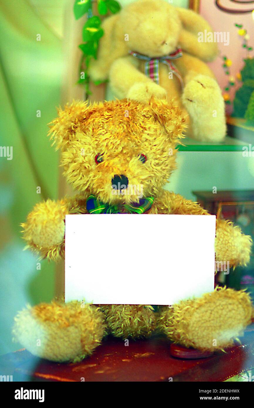 ORNEMENT - articles décoratifs pour la maison et le bureau pour salon, salon et prospectus, catalogue, brochure, bulletin d'information, presse écrite et électronique, etc Banque D'Images