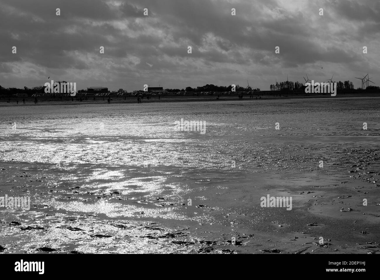 Photo en niveaux de gris des vagues de la mer capturées par temps nuageux Banque D'Images