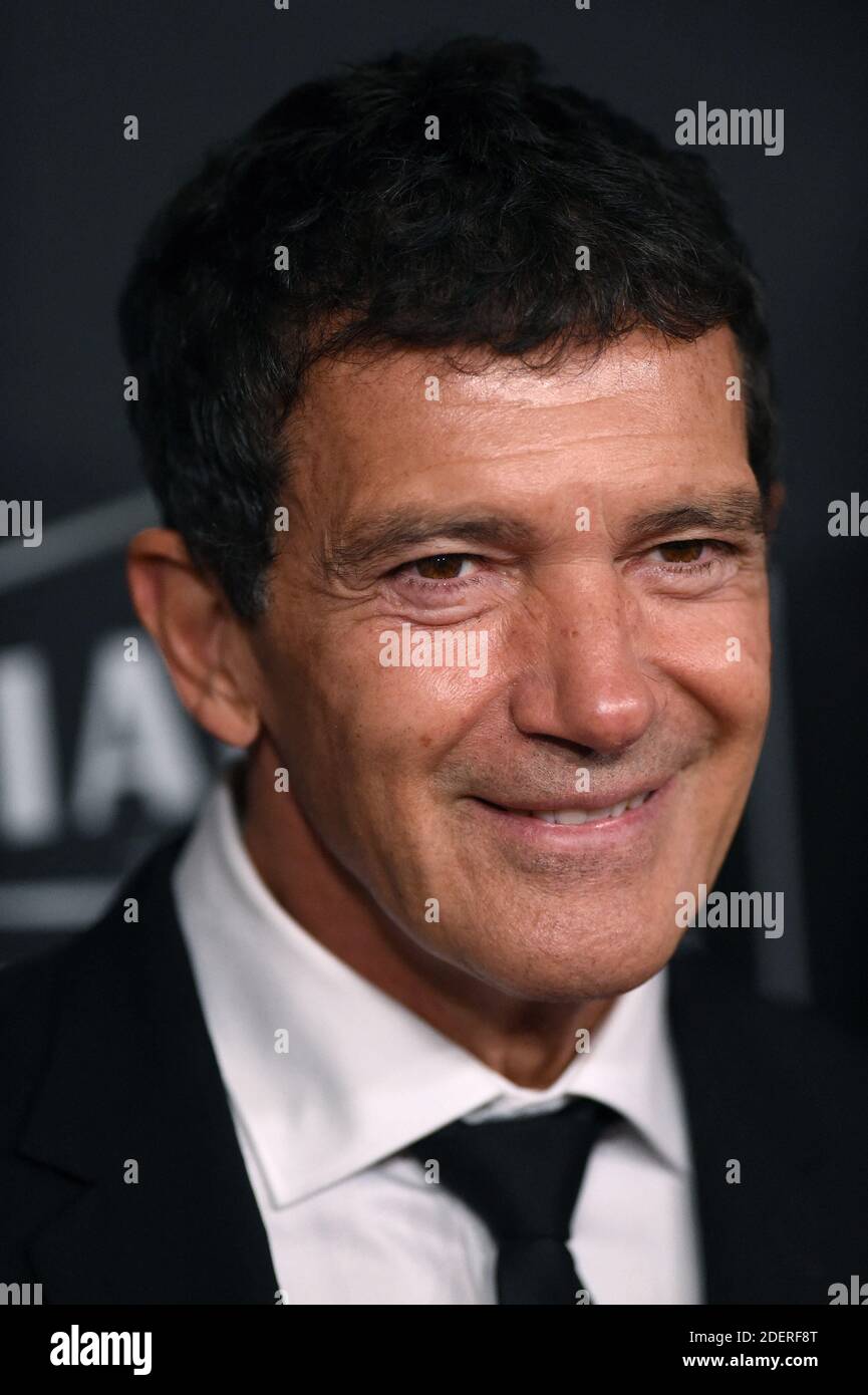 Antonio Banderas assiste au 23e Hollywood film Awards à l'hôtel Beverly Hilton le 03 novembre 2019 à Beverly Hills, CA, Etats-Unis. Photo de Lionel Hahn/ABACAPRESS.COM Banque D'Images