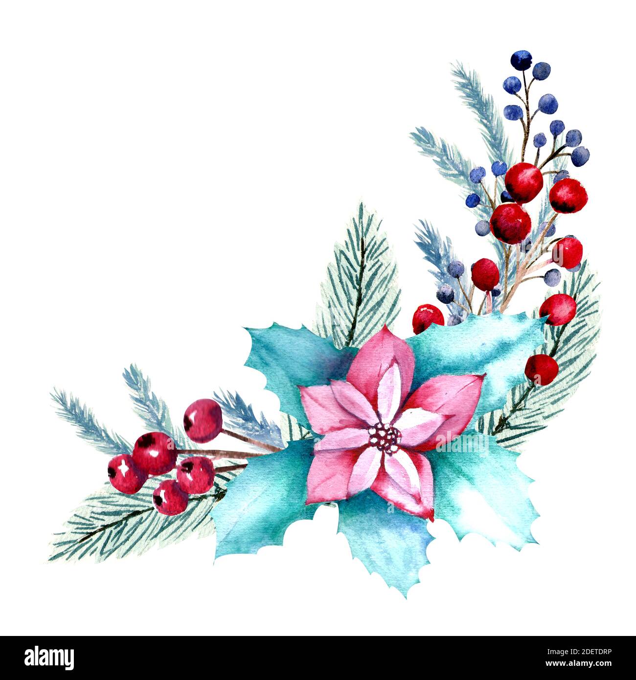 Composition d'aquarelle d'hiver avec fleurs de poinsettia, baies, branches de sapin. Illustration de Noël dessinée à la main. Pour les invitations, les cartes de vœux Banque D'Images