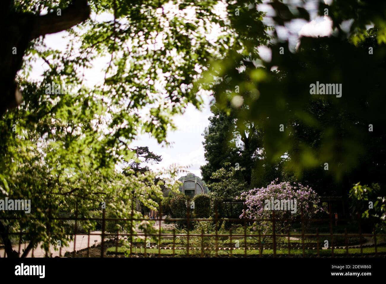 Jardin botanique à travers les arbres au Parc zoologique de Paris à Paris Banque D'Images