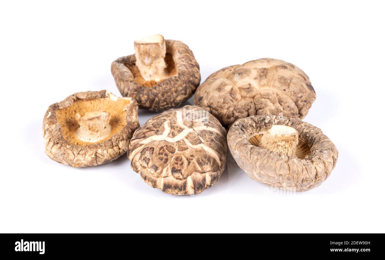 Groupe de champignons secs crus shiitake isolé sur fond blanc Banque D'Images