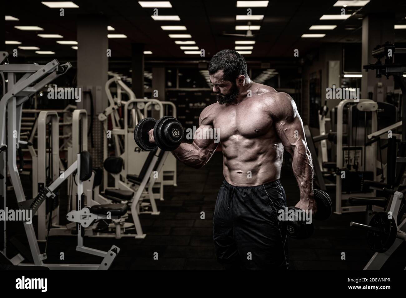 concept de succès de jeunes athlètes forts de levage poids lourd haltères dans la salle de sport de fitness Banque D'Images