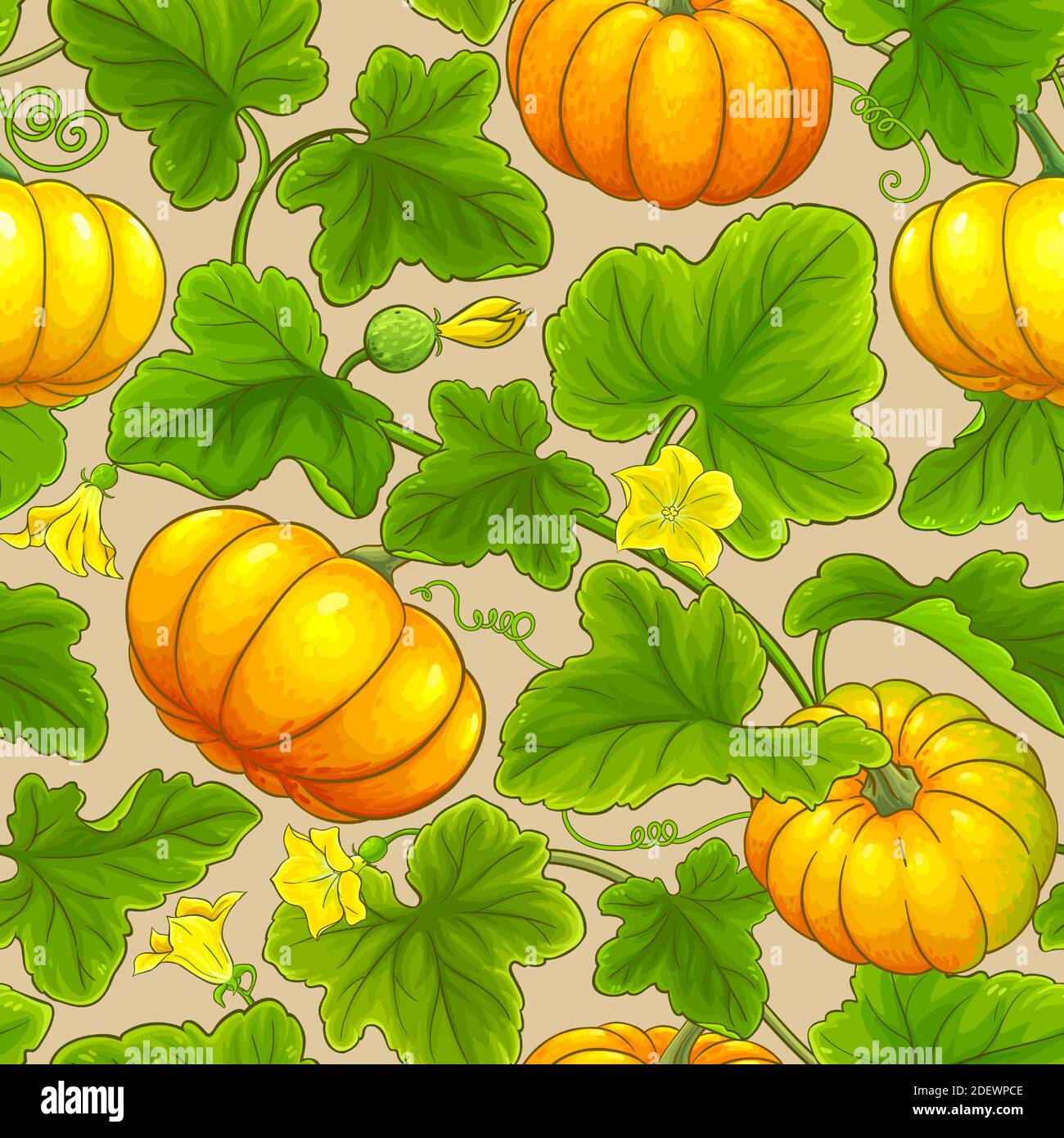 motif de citrouille vectoriel Illustration de Vecteur