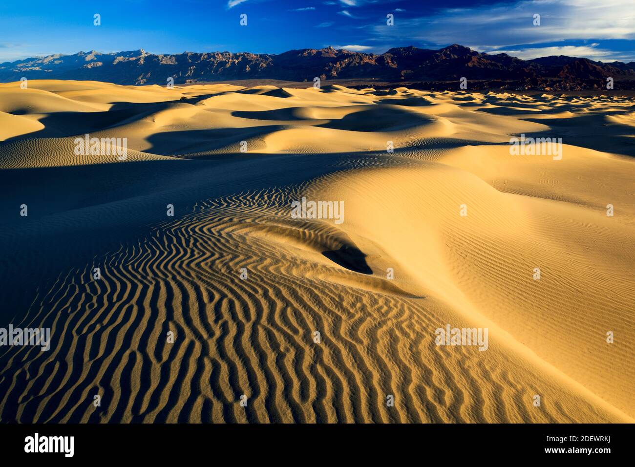 Géographie / Voyage, Etats-Unis, Californie, dunes de sable plat de Mesquite, dunes, Parc national de la Vallée de la mort, Nort, droits supplémentaires-déstockage-Info-non-disponible Banque D'Images