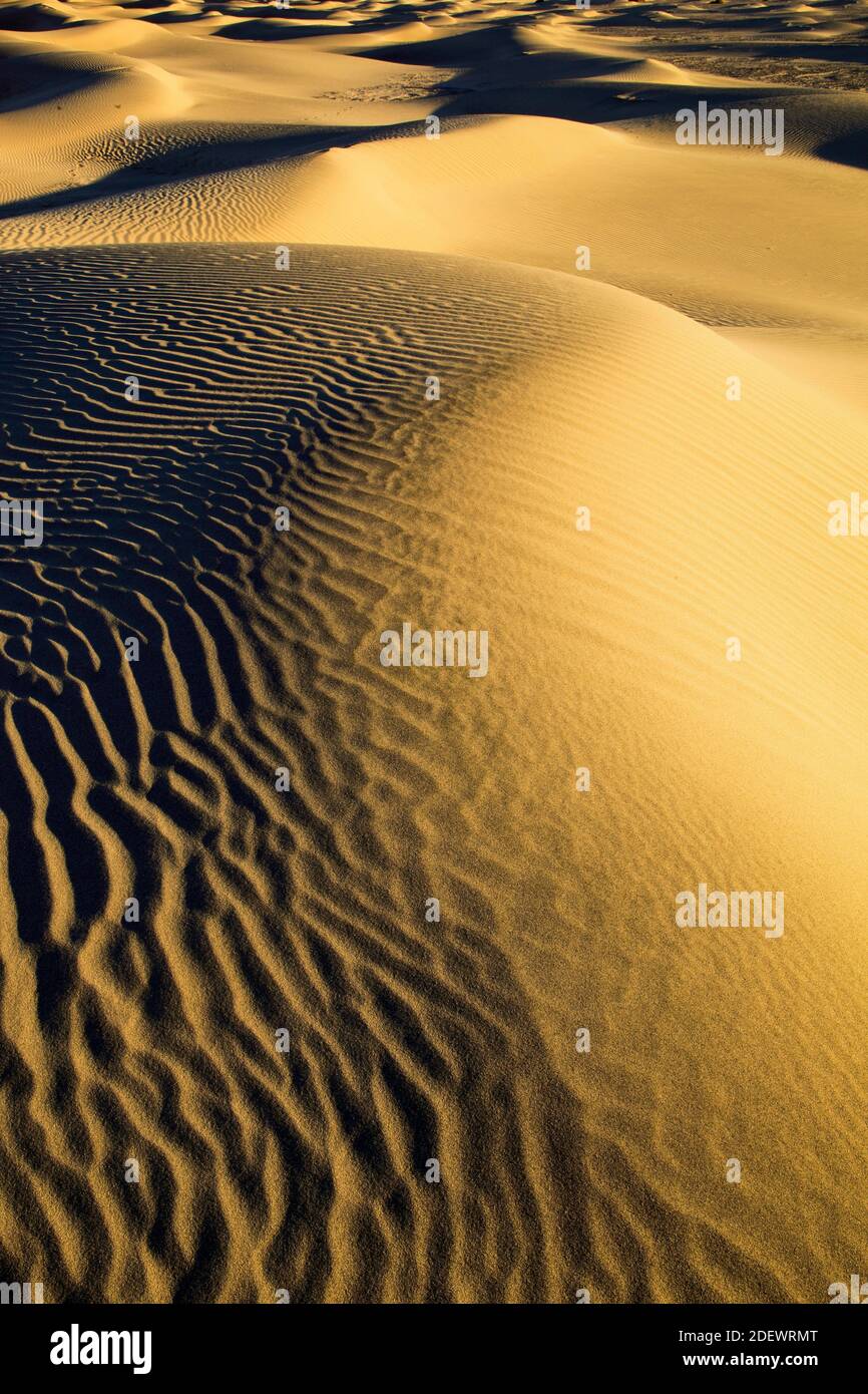 Géographie / Voyage, Etats-Unis, Californie, dunes de sable plat de Mesquite, dunes, Parc national de la Vallée de la mort, Nort, droits supplémentaires-déstockage-Info-non-disponible Banque D'Images