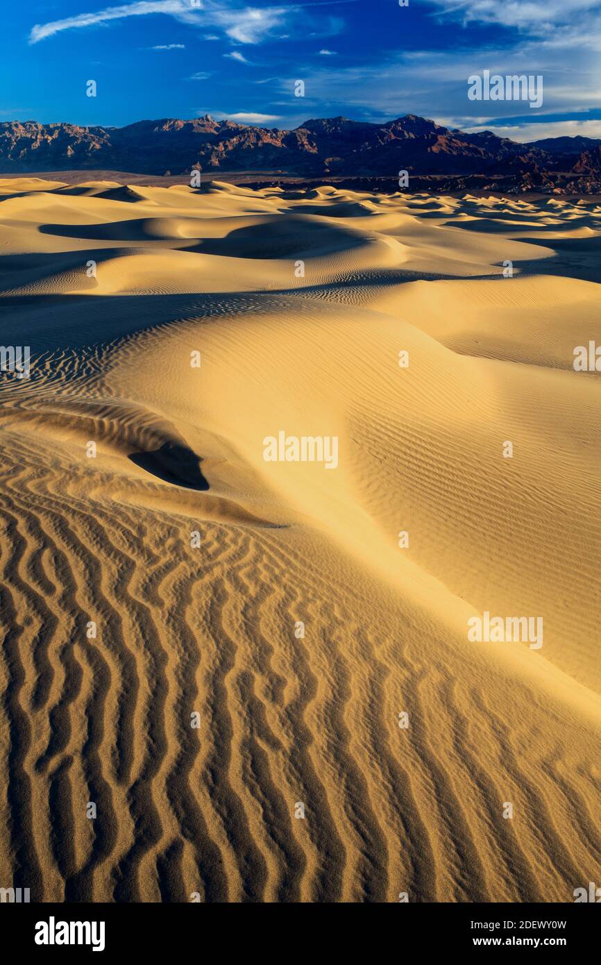 Géographie / Voyage, Etats-Unis, Californie, dunes de sable plat de Mesquite, dunes, Parc national de la Vallée de la mort, Nort, droits supplémentaires-déstockage-Info-non-disponible Banque D'Images