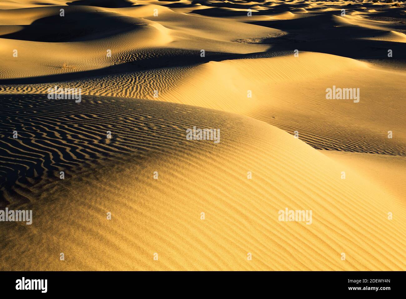 Géographie / Voyage, Etats-Unis, Californie, dunes de sable plat de Mesquite, dunes, Parc national de la Vallée de la mort, Nort, droits supplémentaires-déstockage-Info-non-disponible Banque D'Images