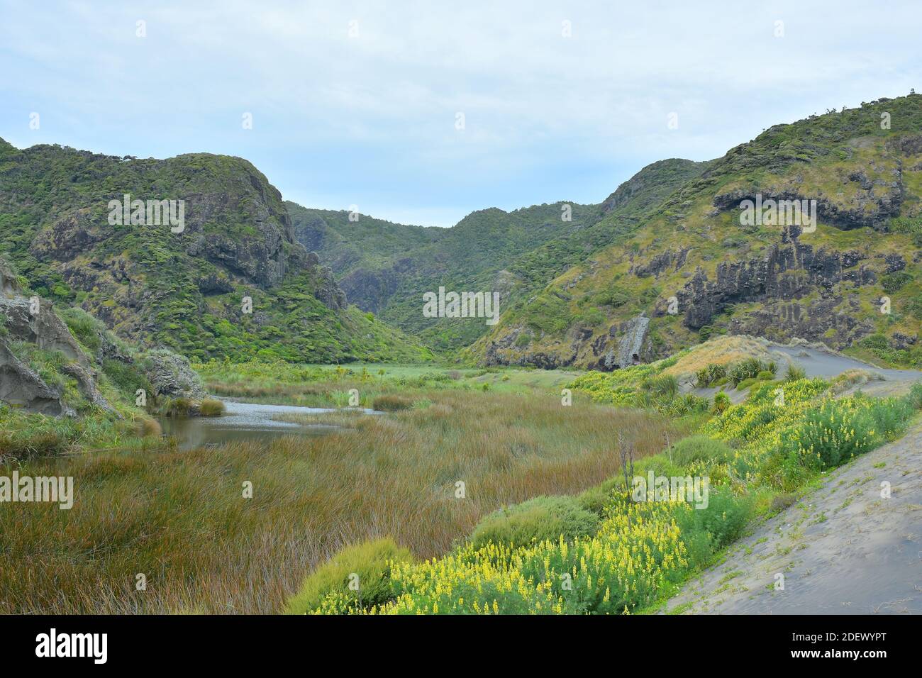 Vue sur le lac de la vallée de Pararaha à la réserve Whatipu avec Waitakere Plages en arrière-plan Banque D'Images