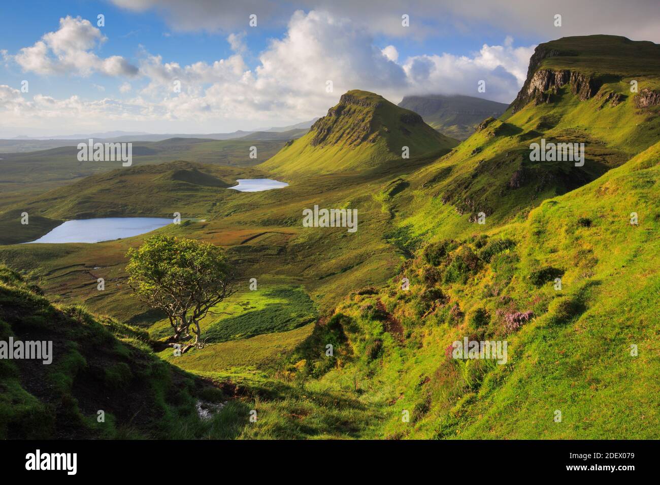 Géographie / Voyage, Grande-Bretagne, Ecosse, Trotternish, l'île de Skye, Ecosse, Additional-Rights-Clearance-Info-not-available Banque D'Images