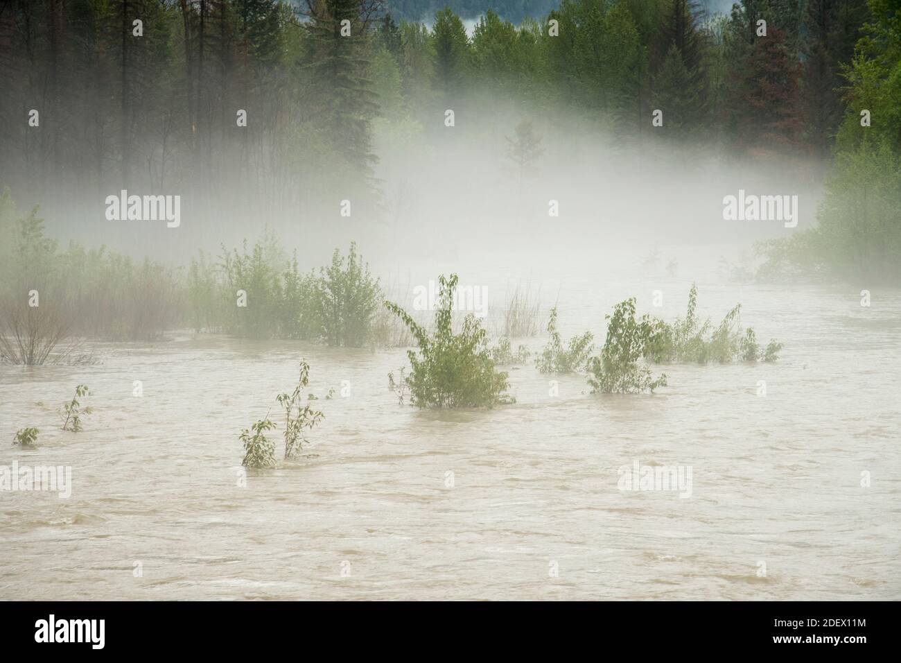 Rivière Similkameen en Colombie-Britannique Banque D'Images