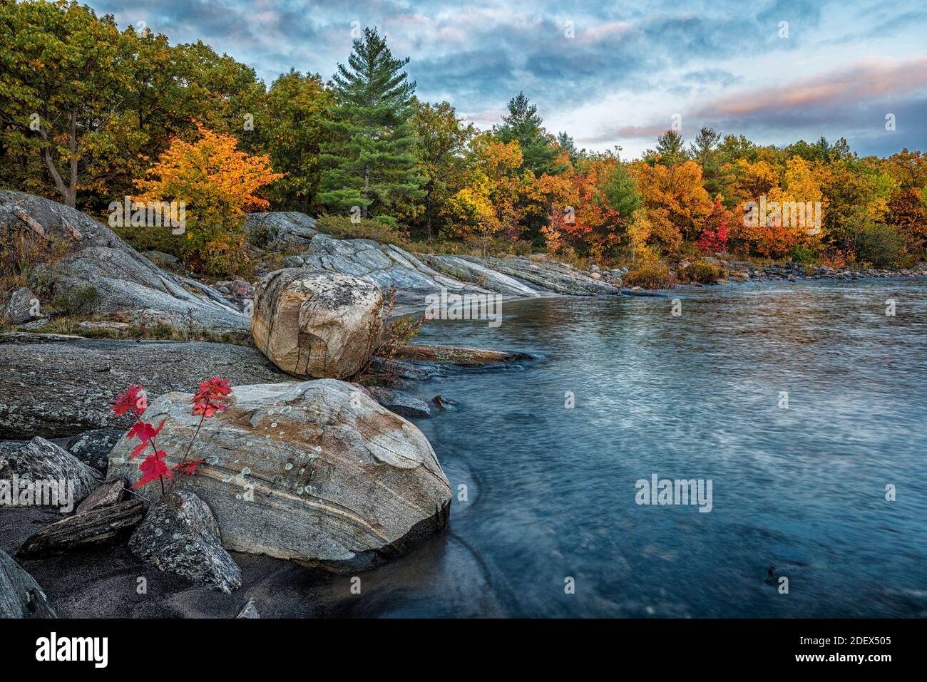 Géographie / voyage, Géorgie, couleur d'automne sur la baie Georgienne sur le lac Huron le long de la baie Georgienne Nord S, droits supplémentaires-autorisation-Info-non-disponible Banque D'Images