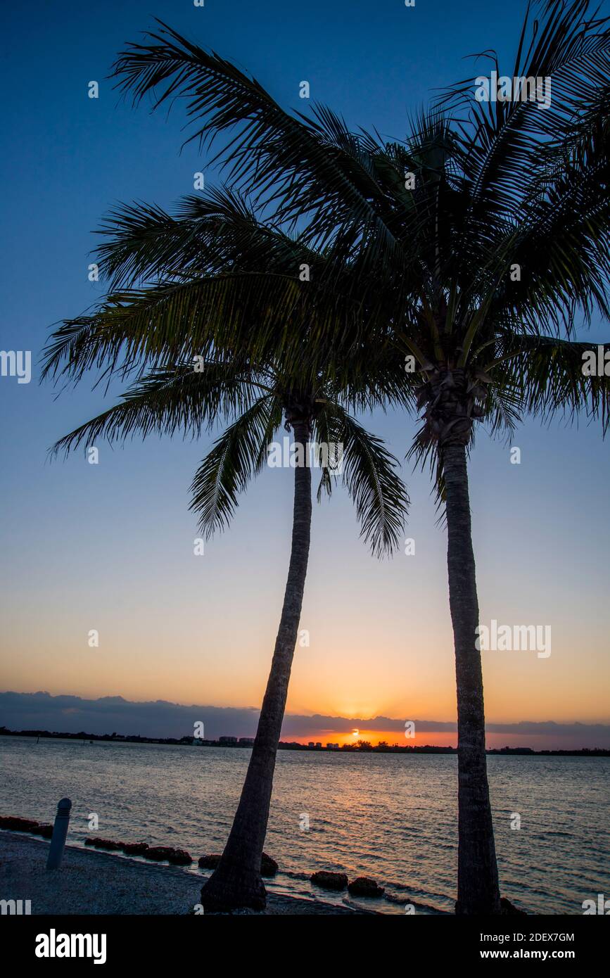 Plage de sable blanc à Sarasota, Floride Banque D'Images