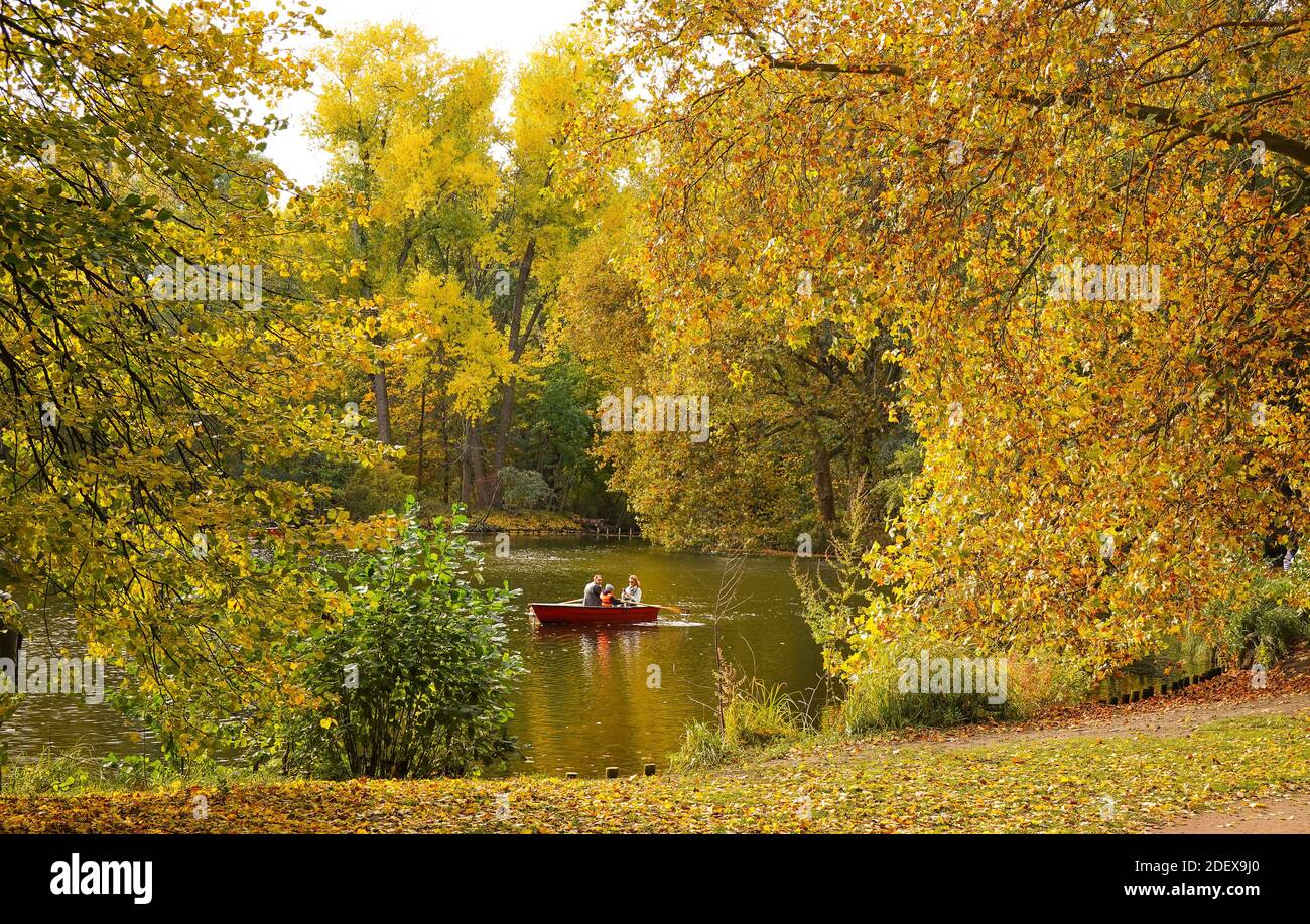 Herbst, Neuer See, Tiergarten, Mitte, Berlin, Allemagne Banque D'Images