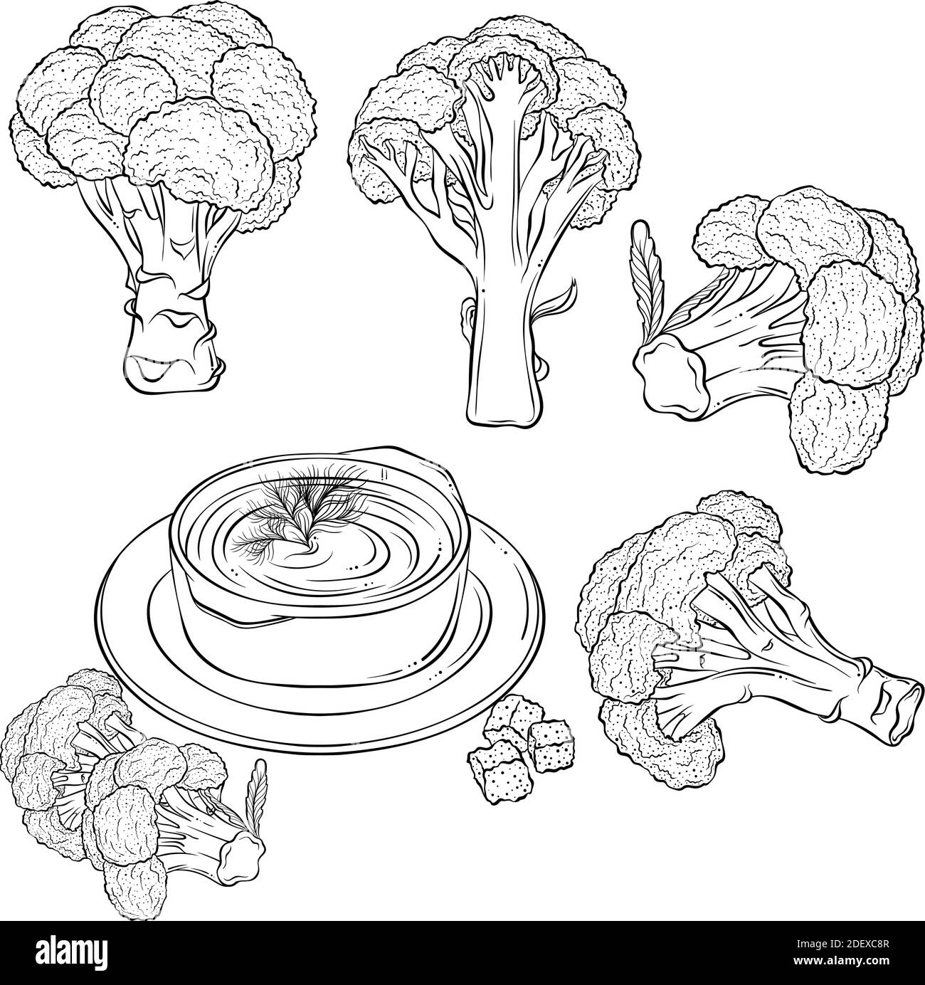 Ensemble de brocolis et un plateau de soupe. Illustration vectorielle dessinée à la main avec contour noir isolé sur fond blanc. Collection de légumes frais. S'applique au menu du restaurant, au livret de coloriage, à l'impression. Illustration de Vecteur