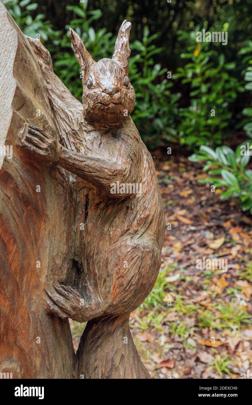 Sculpture sur bois d'un écureuil rouge sur le terrain de la maison Osborne,  à East Cowes, à l'île de Wight Photo Stock - Alamy
