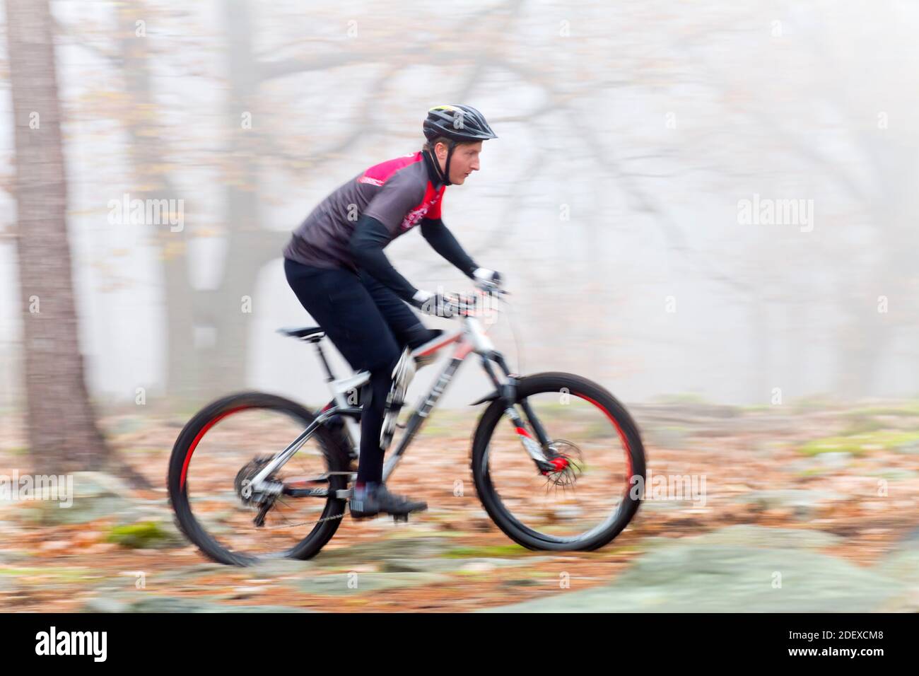 Homme vélo avec VTT dans une forêt avec brouillard en arrière-plan - concentrez-vous sur la tête Banque D'Images