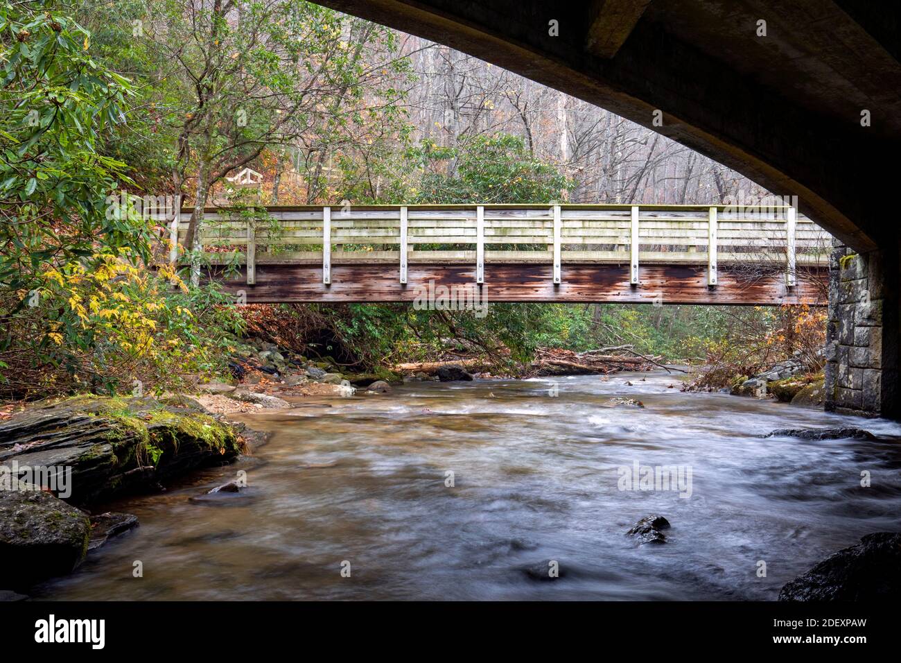Pont en bois sur Moore Cove Trail dans la forêt nationale de Pisgah, près de Brevard, Caroline du Nord, États-Unis Banque D'Images