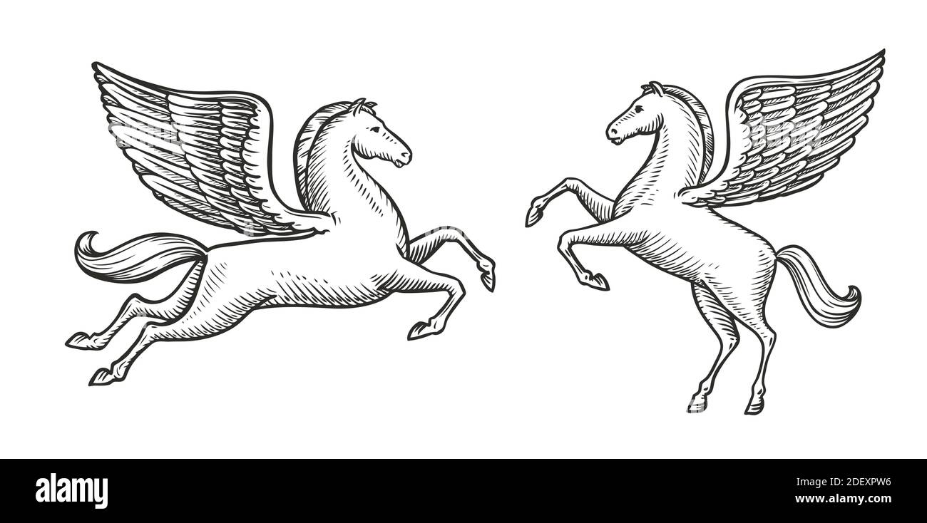 Croquis de cheval à ailes. Illustration vecteur symbole Pégase vintage Illustration de Vecteur