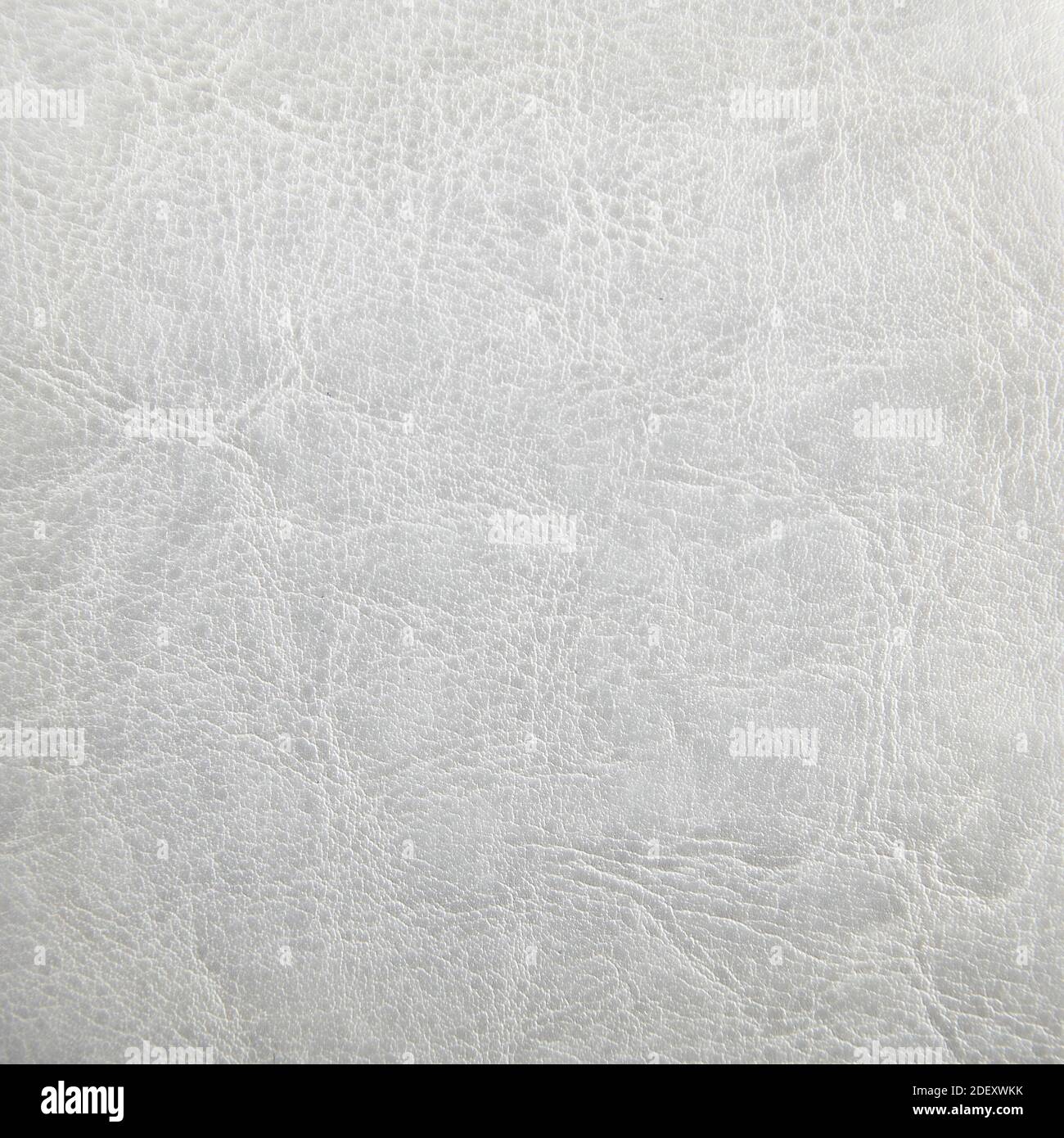 Fond en cuir gris clair de qualité supérieure pour la décoration Banque D'Images