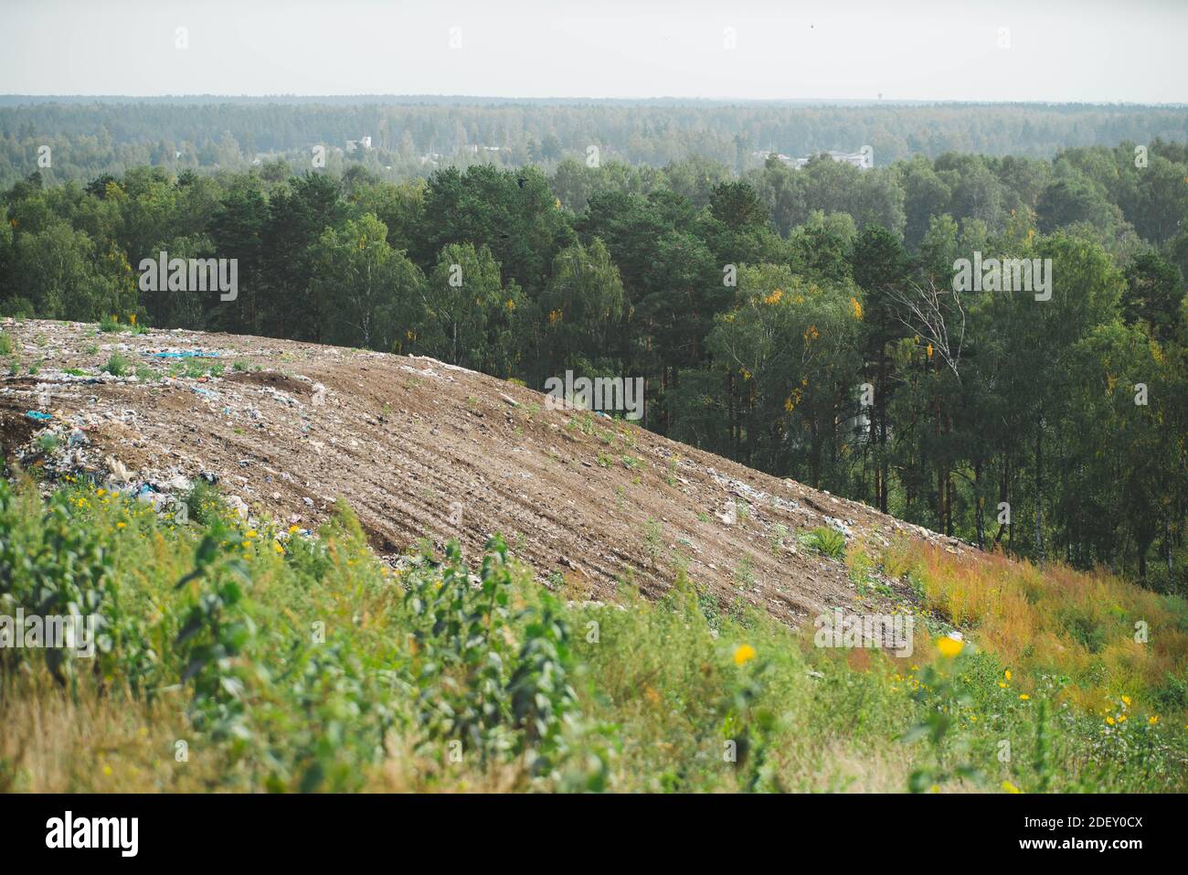 Décharge près de la forêt verte. Tri et préparation des déchets en vue du recyclage sur le site de déversement. Respect de l'environnement. Banque D'Images