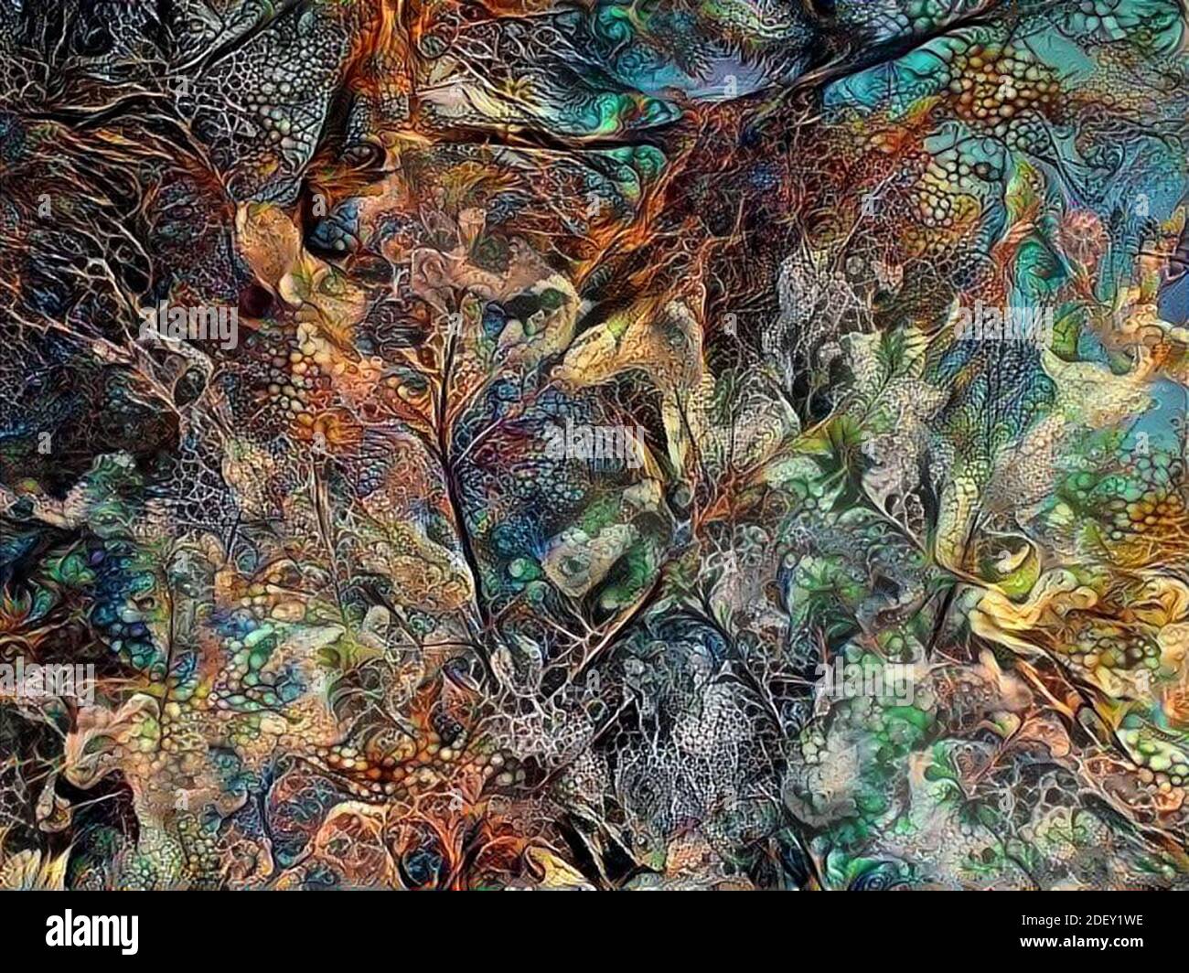 Illustration d'une manière illustrée. Forêt fantastique, jungle fabuleuse. Peinture numérique Banque D'Images