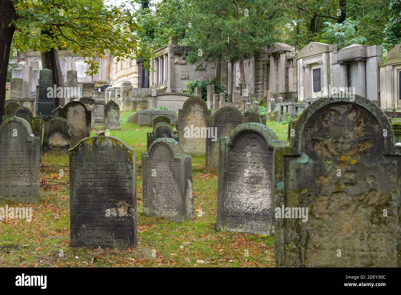 Jüdischer Friedhof, Puschkinallee, Pfingstberg, Potsdam, Brandebourg, Allemagne Banque D'Images