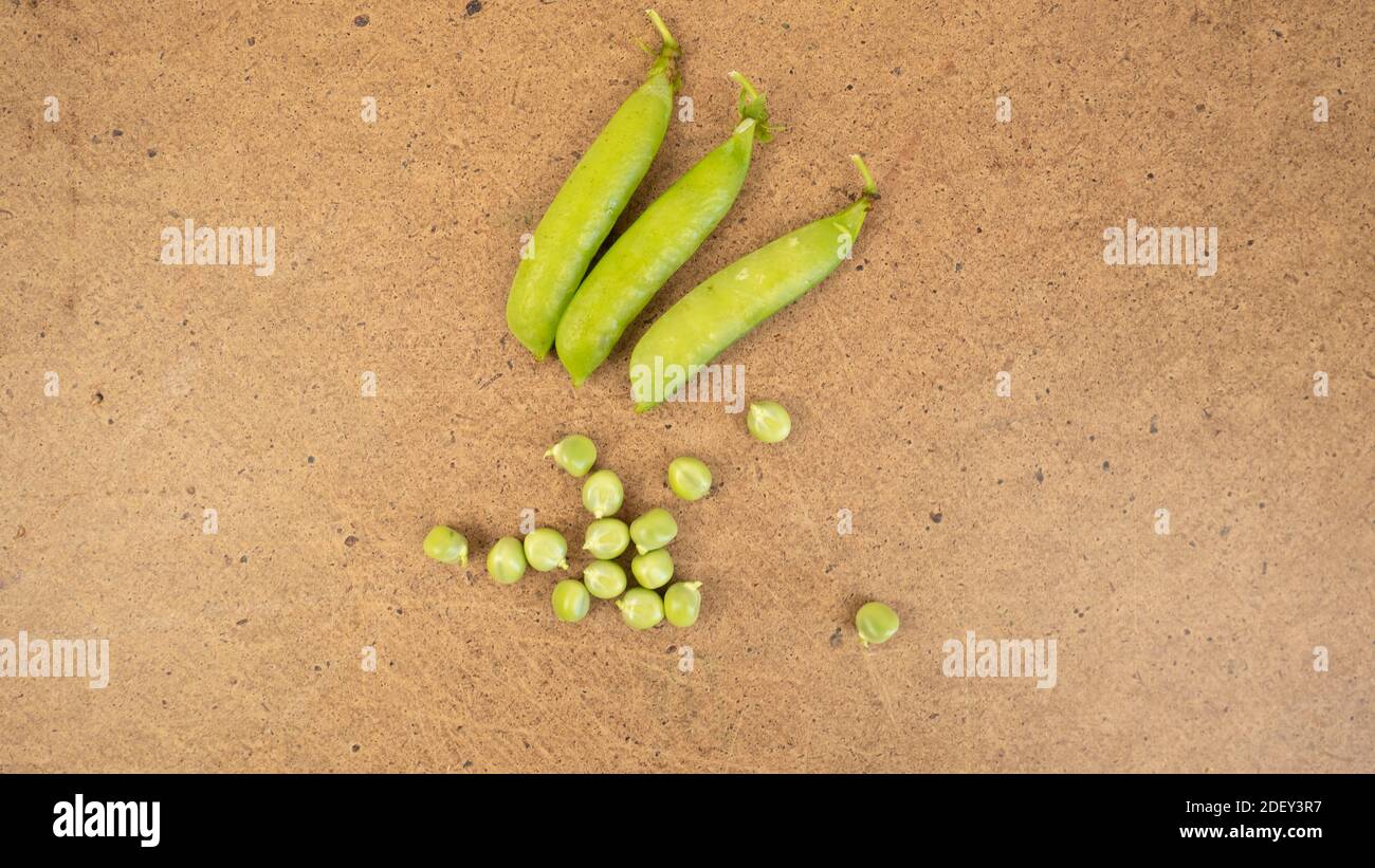 Pois verts et gousses sur fond de gringe. Plats végétariens mûrs, récolte naturelle. Banque D'Images