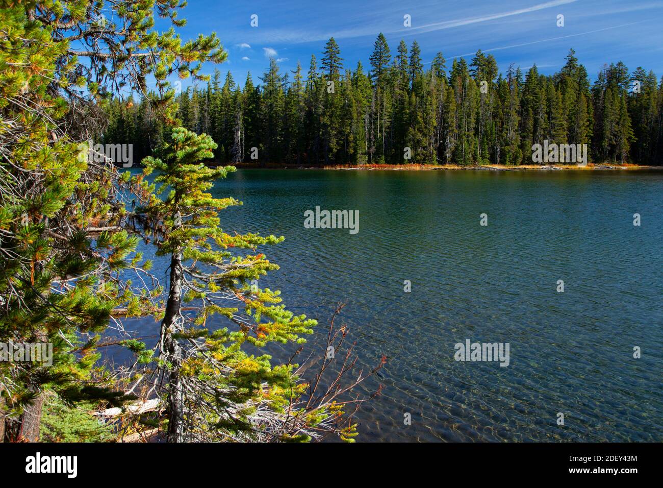 Isherwood Lake, Sky Lakes Wilderness, Winema National Forest, Oregon Banque D'Images