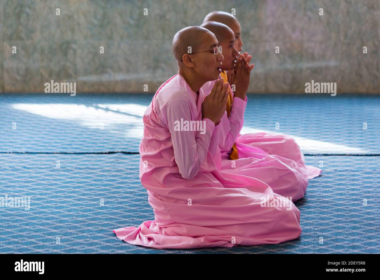 Les religieuses bouddhistes priant à l'intérieur de la pagode du temple à Thetkya Thidar Nunnery, Sakyadhita Thilashin Nunnery School, Sagaing, Myanmar (Birmanie), Asie en février Banque D'Images