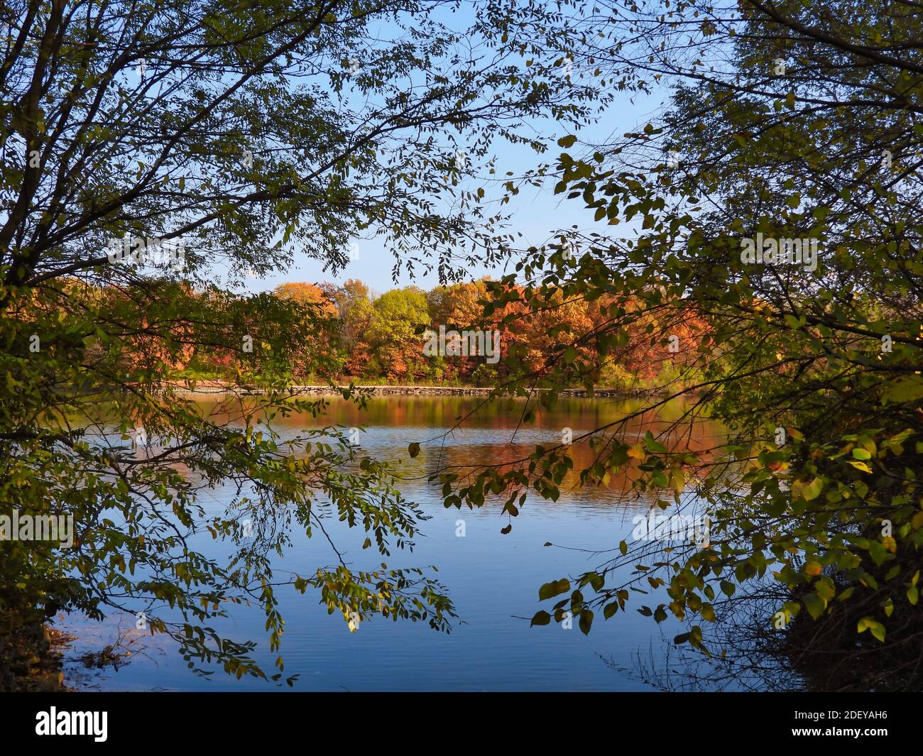 Paysage d'automne encadré vue de divers arbres de couleur automnale à travers un lac avec reflet de feuilles d'arbres jaunes, orange, rouges, brunes et vertes dans l'eau Banque D'Images