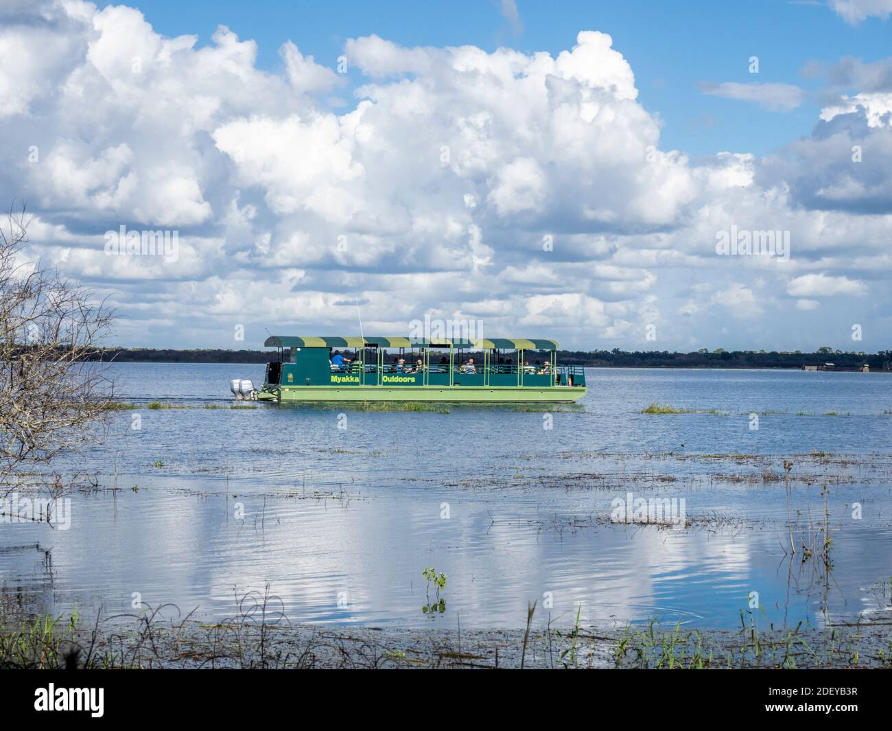 Tour en bateau dans le lac supérieur de Myakka dans l'État de la rivière Myakka Parc à Sarasota Floride aux États-Unis Banque D'Images