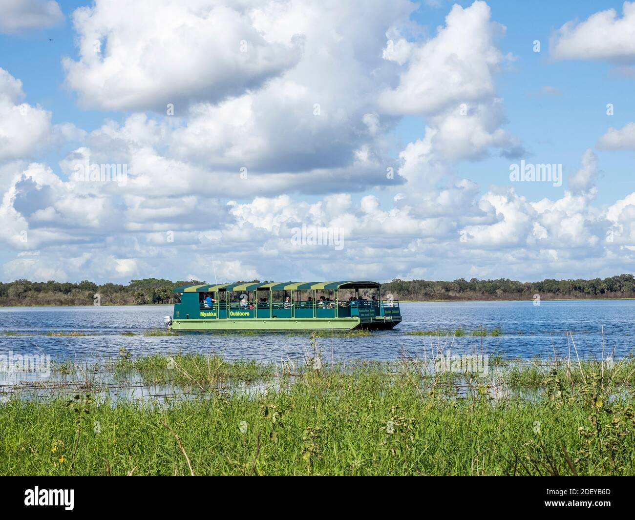 Tour en bateau dans le lac supérieur de Myakka dans l'État de la rivière Myakka Parc à Sarasota Floride aux États-Unis Banque D'Images