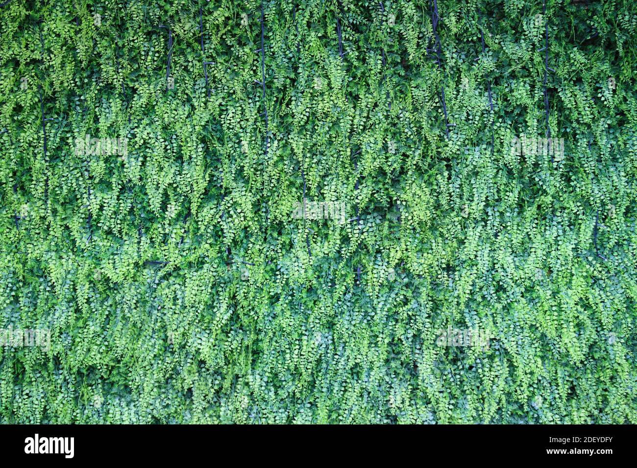 Fausse plante artificielle décoration murale arrière-plan Photo Stock -  Alamy