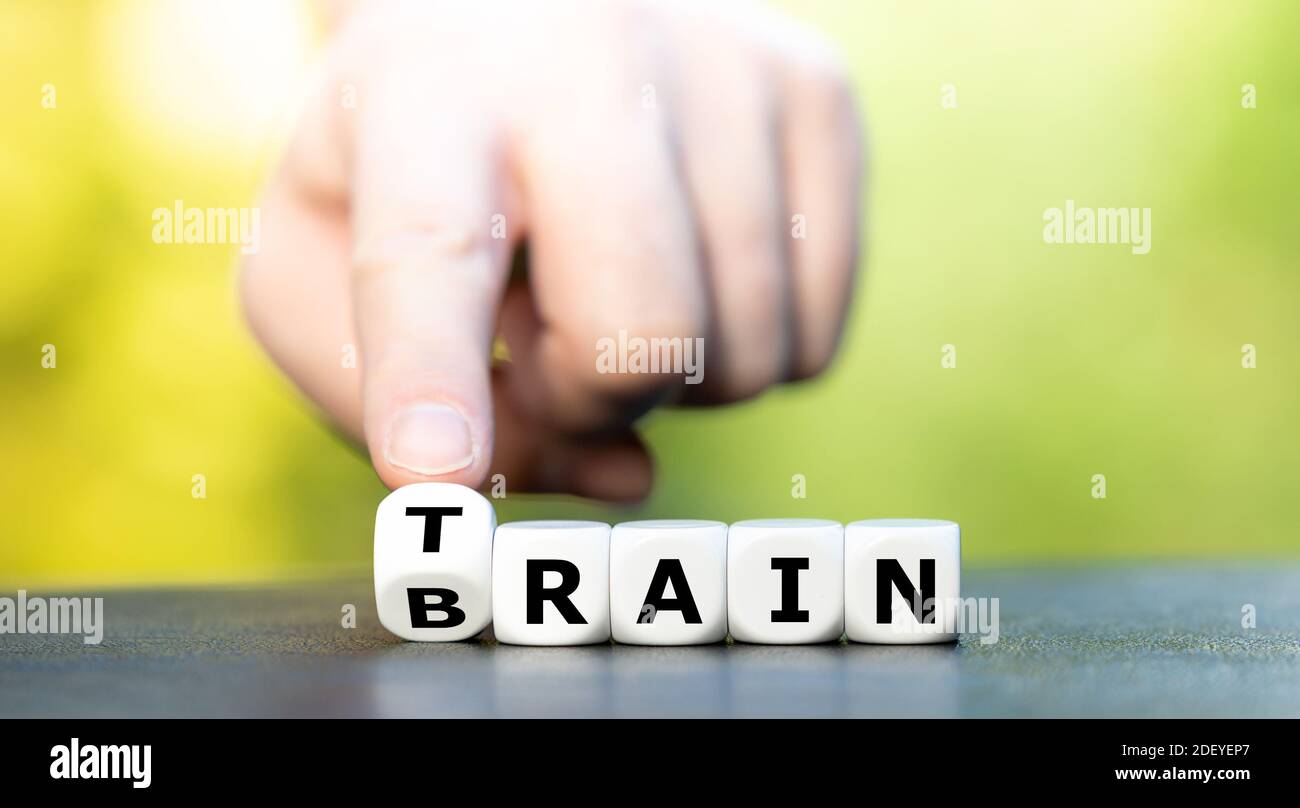 Entraînez votre cerveau. Les dés forment les mots train et cerveau. Banque D'Images