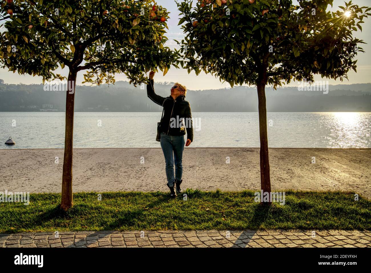 Une femme de race blanche d'âge moyen qui a atteint le fruit de Un arbre orange sur la rive du lac de Garde Dans la ville de Salo en Italie à l'automne 2020 Banque D'Images