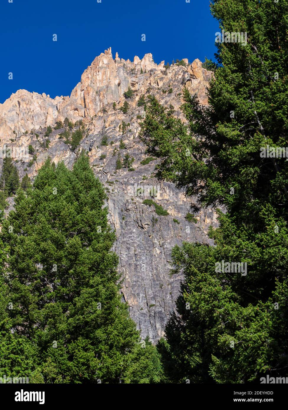 Les pics de la montagne Sawtooth le long du sentier Redfish Lake Creek, Sawtooth National Recreation Area, Stanley (Idaho). Banque D'Images