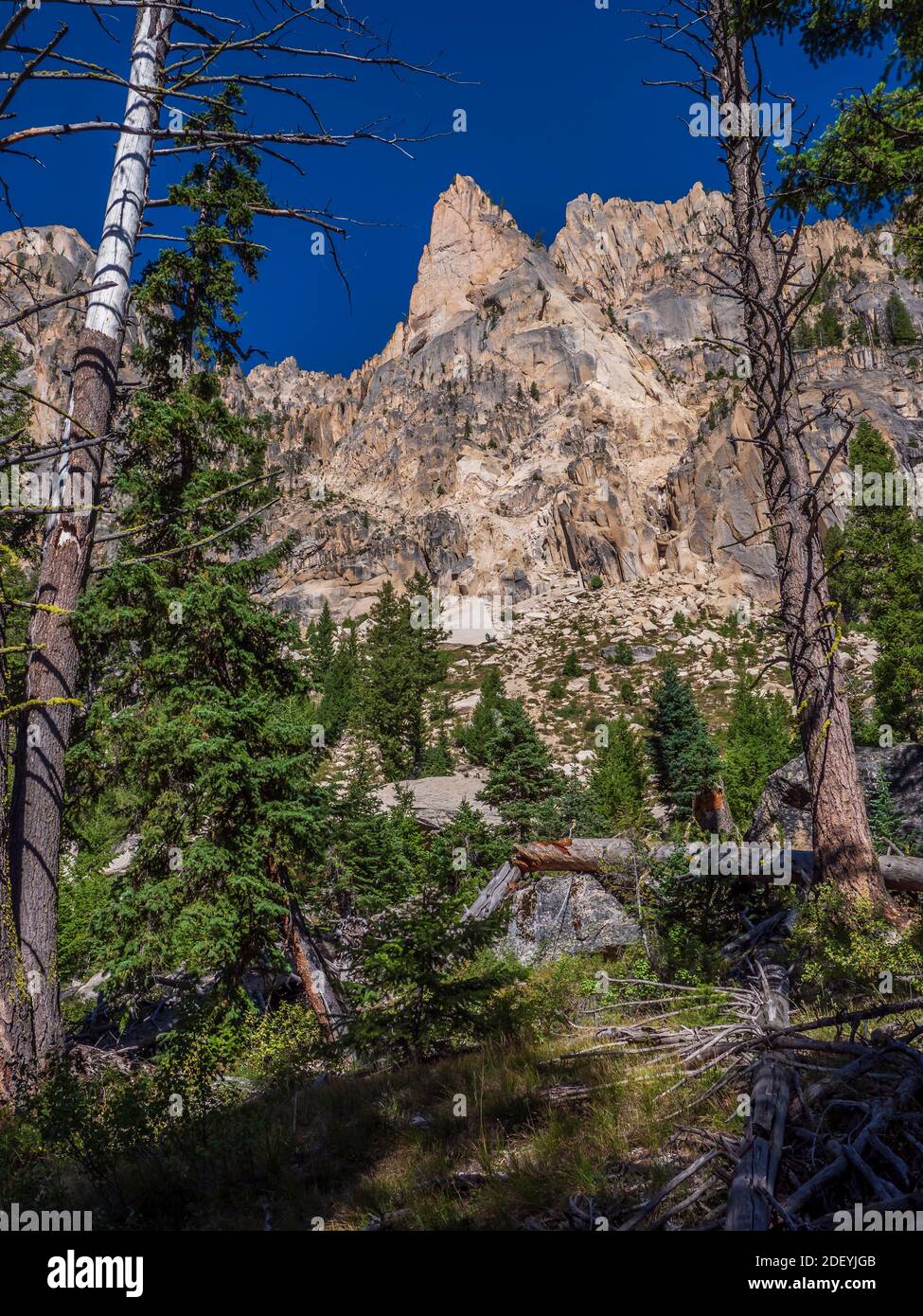 Les pics de la montagne Sawtooth le long du sentier Redfish Lake Creek, Sawtooth National Recreation Area, Stanley (Idaho). Banque D'Images