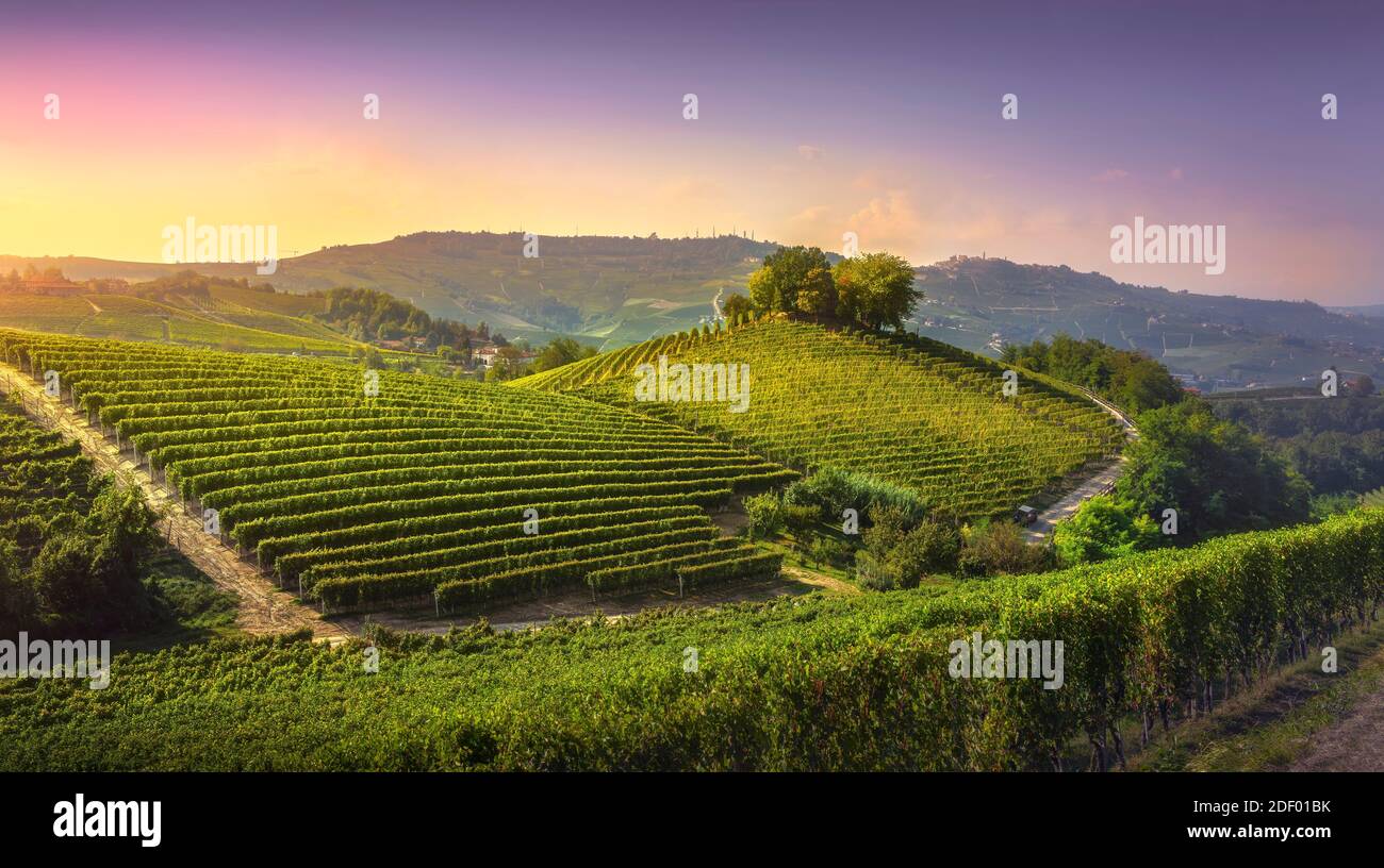 Vignobles de Langhe et en haut de la colline. La Morra. Site de l'UNESCO, Piémont, Italie du Nord, Europe. Banque D'Images