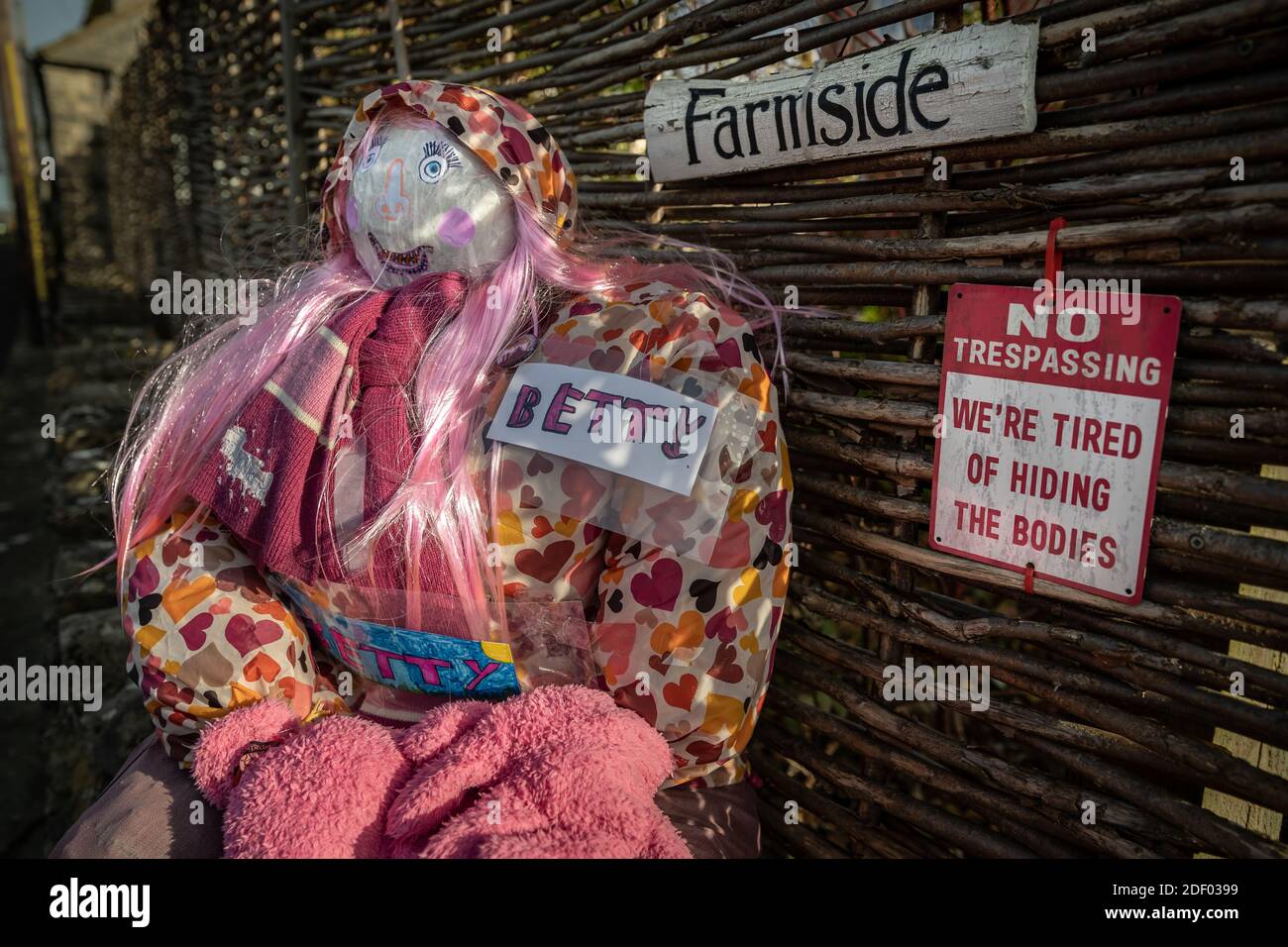 Coronavirus : les personnages de l'arnaque verrouillée apportent un peu d'humour local fait maison à la ville de Marston Magna, dans le Somerset, au Royaume-Uni. Banque D'Images