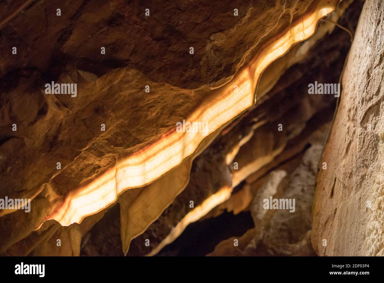 Formation de roches de bacon dans une grotte de Flowstone dans la caverne de Shenandoah. Banque D'Images