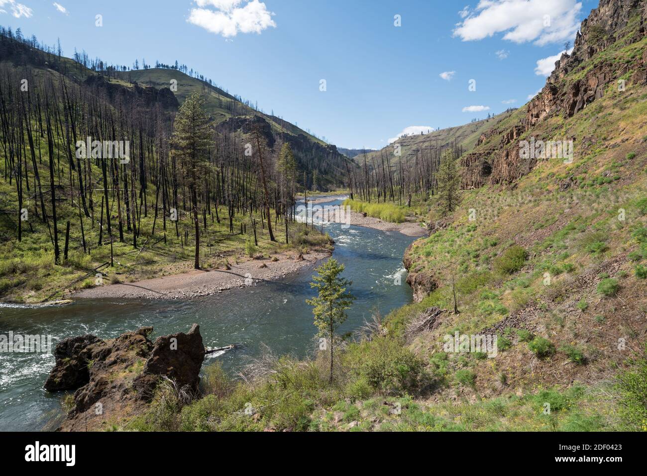 La rivière Wenaha dans le nord-est de l'Oregon. Banque D'Images