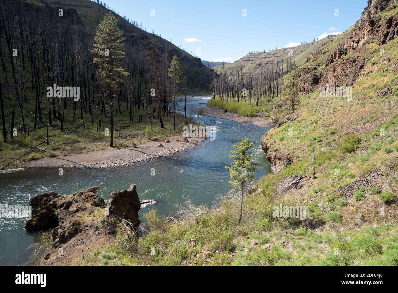 La rivière Wenaha dans le nord-est de l'Oregon. Banque D'Images