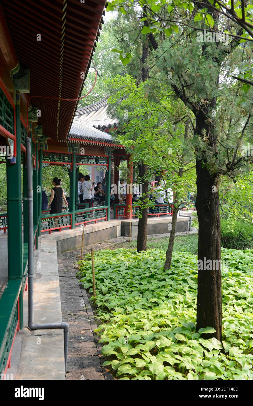 Couloir couvert dans le jardin de la maison de Madame Song Qingling, aujourd'hui musée, dans le quartier Houhai du centre-nord de Beijing, en Chine Banque D'Images