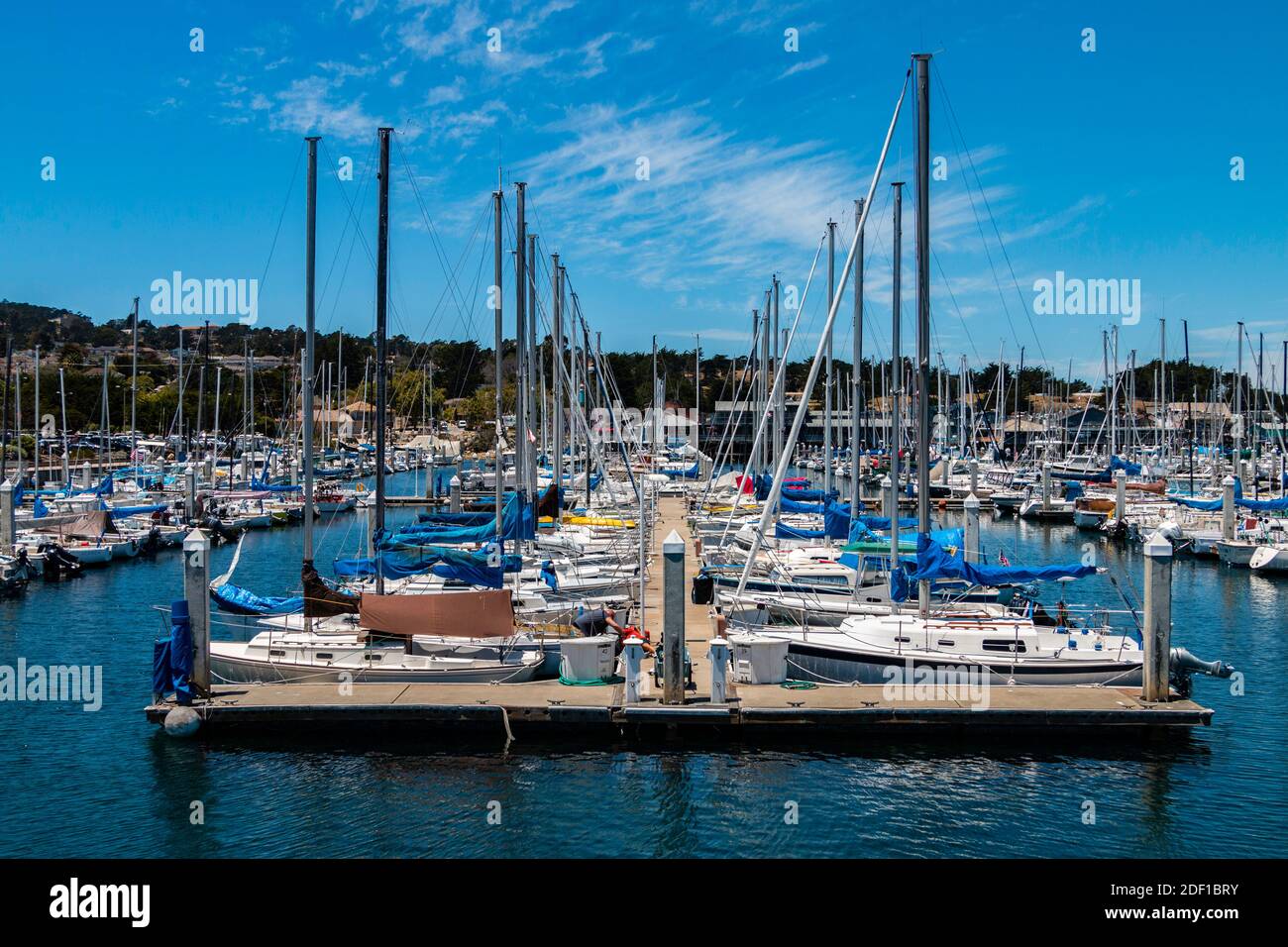 De nombreux voiliers sont assis à l'arrêt en attendant d'être navigué depuis le Port de plaisance de la baie de Monterey Banque D'Images
