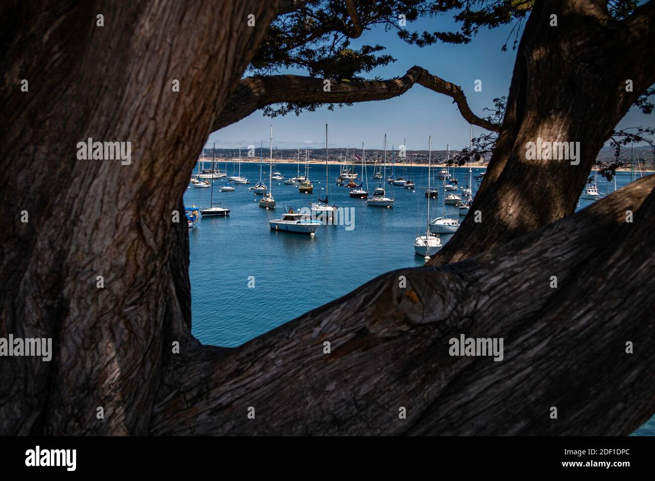Les voiliers sont amarrés dans la baie de Monterey en attente d'un voyage à mer Banque D'Images